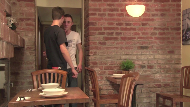 Film erotyczny Porno gejowskie DVD XXX seks Tamed - Oswojony ZE0562