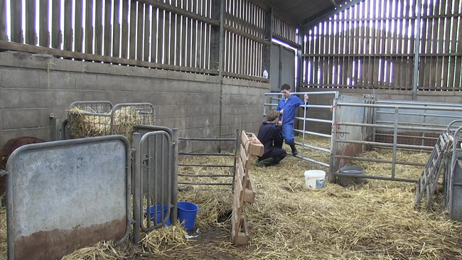 Film erotyczny Porno gejowskie DVD XXX seks  Hot Twinks - Double Disc Box 13  --  Gorące chłopaki 13 ZE0738