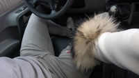 Szalona jazda z cycatą mamuśką / Busty Mom ZE0689