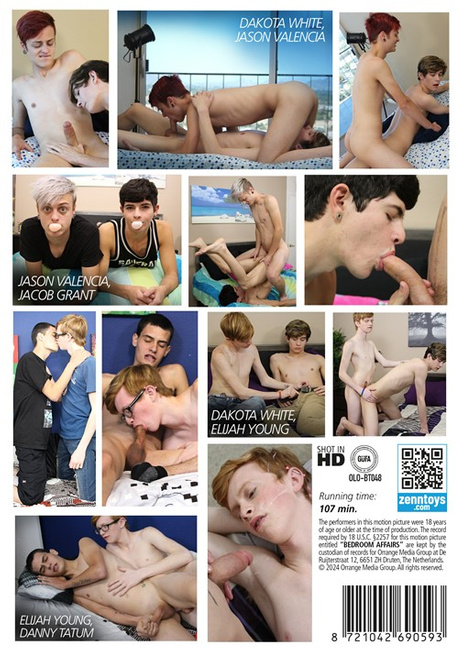 Film erotyczny Porno gejowskie DVD XXX seks Bedroom Affairs - Sprawy łóżkowe ZE0836