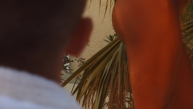 Film erotyczny Porno gejowskie DVD XXX Seks party na Majorce / Mallorca´s Fuck Fest gay porn